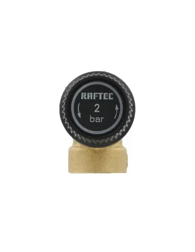 Обратный клапан подрывной Raftec PN2 ВН 1/2 RPR012-M