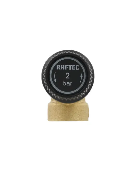 Обратный клапан подрывной Raftec PN2 ВН 1/2 RPR012-M