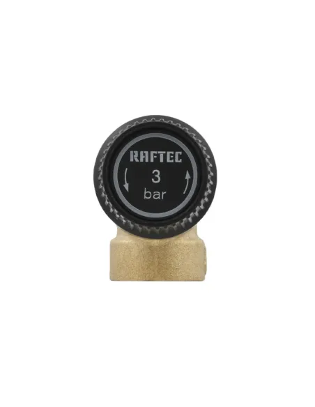 Обратный клапан подрывной Raftec PN3 ВВ 1/2 RPR013-F