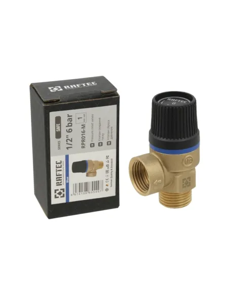 Обратный клапан подрывной Raftec PN6 ВН 1/2 RPR016-M