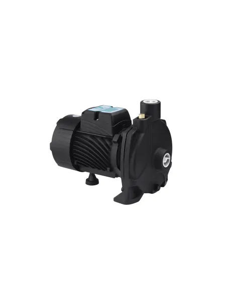 Центробежный поверхностный насос Pumpman TCP158, 0.75 кВт