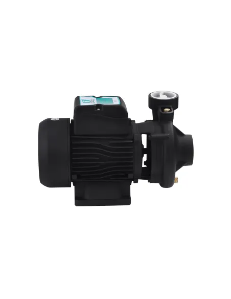 Центробежный поверхностный насос Pumpman 2DK20, 0.75 кВт