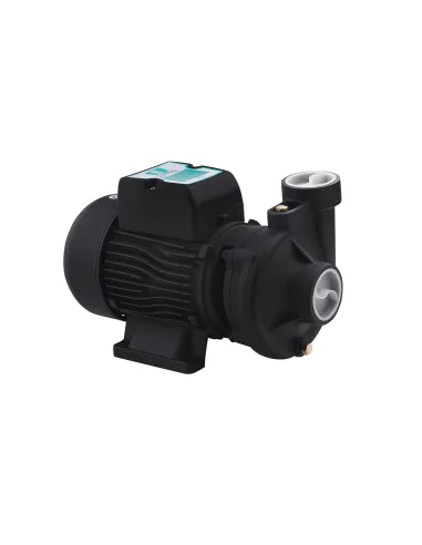 Центробежный поверхностный насос Pumpman 2DK20, 0.75 кВт