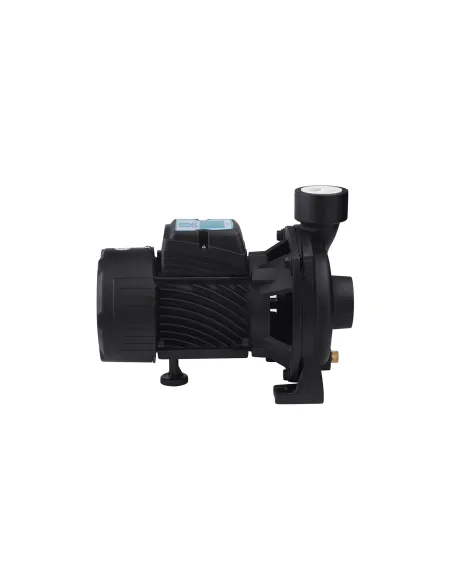 Центробежный поверхностный насос Pumpman TGA1A, 0.75 кВт