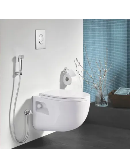 Лійка гігієнічна Grohe Tempesta-F Trigger Spray 30 27512001 купити у Дніпрі та Києві - ціна від КТУ