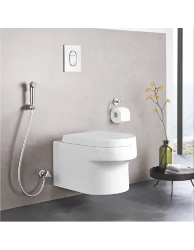 Лійка гігієнічна Grohe Tempesta-F Trigger Spray 30 27512001 купити у Дніпрі та Києві - ціна від КТУ