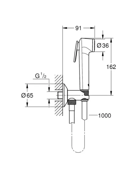Набор для гигиенического душа Grohe Tempesta-F Trigger Spray 26358000 купить в Днепре и Киеве - цена от КТУ