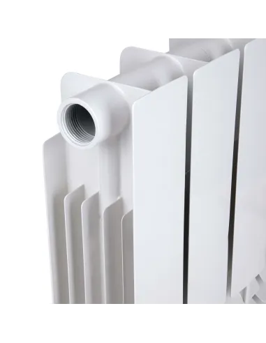 Радіатор біметалічний Thermo Alliance Bi-Ferrum 300/100, 10 секцій