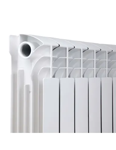 Радіатор біметалічний Thermo Alliance Bi-Ferrum 300/100, 10 секцій