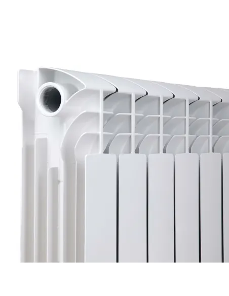 Радиатор биметаллический Thermo Alliance Bi-Ferrum 300/100, 10 секций