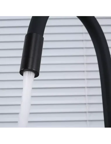 Смеситель для кухни Frap F4396-6, с подключением к фильтру