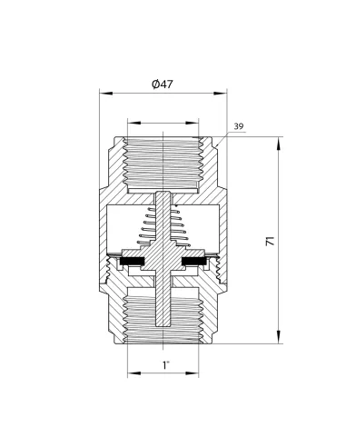 Зворотний клапан Thermo Alliance Forte 1 дюйм, латунний шток