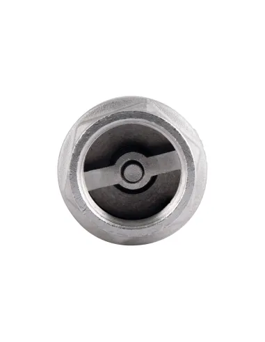 Зворотний клапан Thermo Alliance Forte 1 дюйм, латунний шток