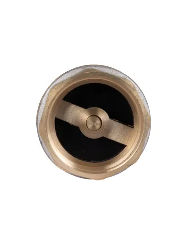 Обратный клапан Thermo Alliance Standart 1 1/2 дюйма, латунный шток