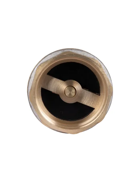 Зворотний клапан Thermo Alliance Standart 1 1/2 дюйми, латунний шток Зворотний клапан Thermo Alliance Standart 1 1/2 дюйми, латунний шток