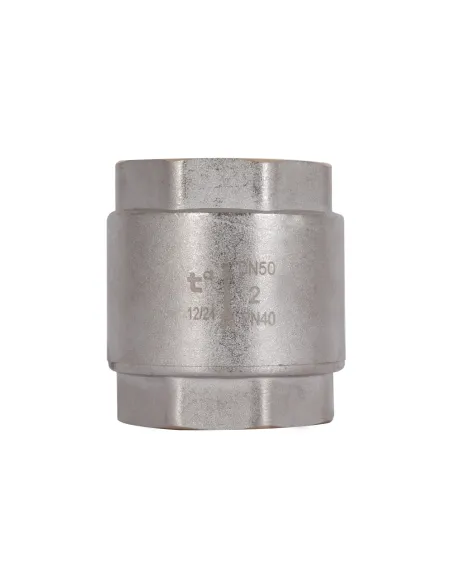 Зворотний клапан Thermo Alliance Standart 2 дюйми, латунний шток