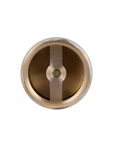 Обратный клапан Thermo Alliance Standart 2 дюйма, латунный шток