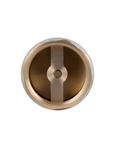 Зворотний клапан Thermo Alliance Standart 2 дюйми, латунний шток