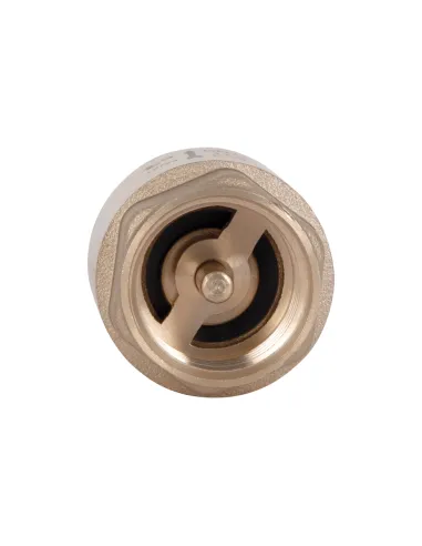 Обратный клапан Thermo Alliance Base Slim 1/2 дюйма, латунный шток