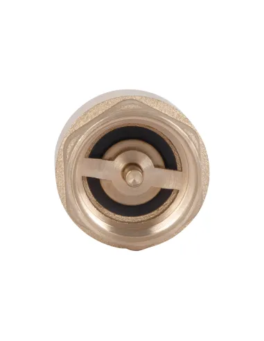 Обратный клапан Thermo Alliance Base Slim 3/4 дюйма, латунный шток