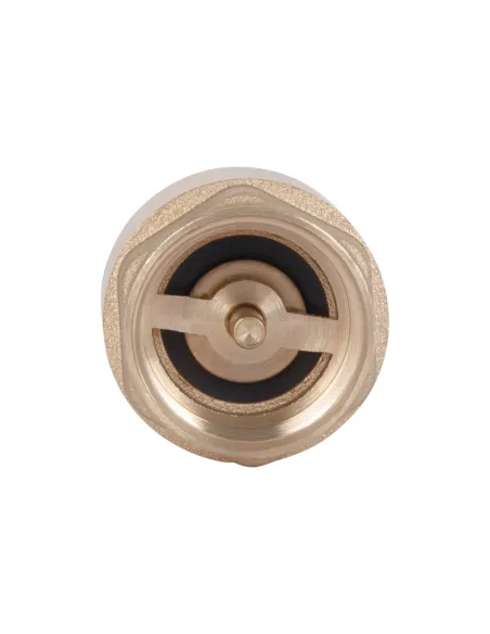 Зворотний клапан Thermo Alliance Base Slim 3/4 дюйми, латунний шток Зворотний клапан Thermo Alliance Base Slim 3/4 дюйми, латунний шток