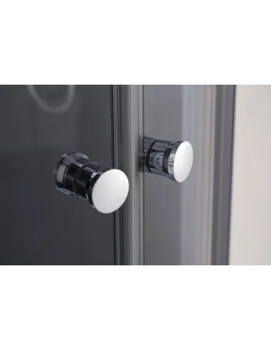 Душова кабіна з низьким піддоном Mixxus Plain SCT02-90x90x195-TR Graphite, напівкругла