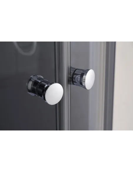 Душова кабіна з низьким піддоном Mixxus Plain SCT02-90x90x195-TR Graphite, напівкругла