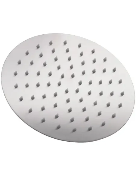 Лейка тропический душ Zerix SH-005.SUS 250 мм, нержавеющая сталь, круглая