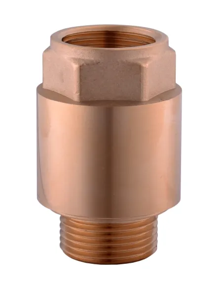 Обратный клапан Solomon Europa 6026 1 дюйм, латунный шток