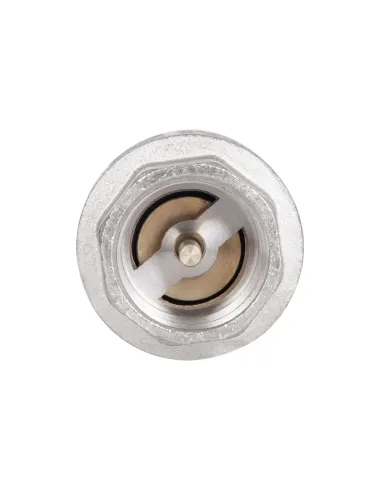 Зворотний клапан Thermo Alliance Standart TAS246W20 0,75 дюйми, латунний шток