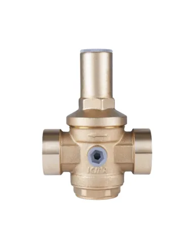 Редуктор тиску Icma 246 SD00008054 1,25 дюйми