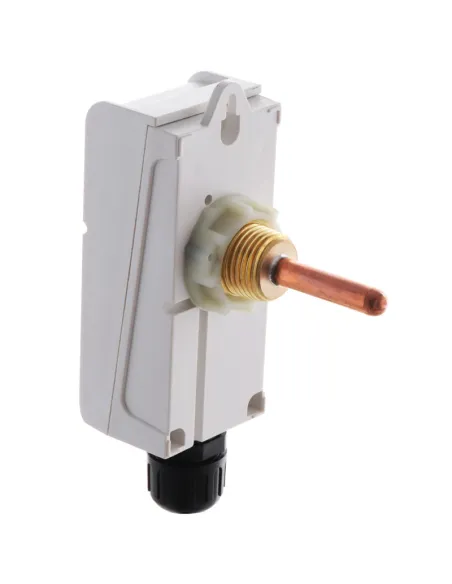 Терморегулятор електричний Koer KR.1353E, занурювальний