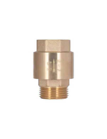 Зворотний клапан Thermo Alliance Standart TAS248W25 1 дюйм, латунний шток