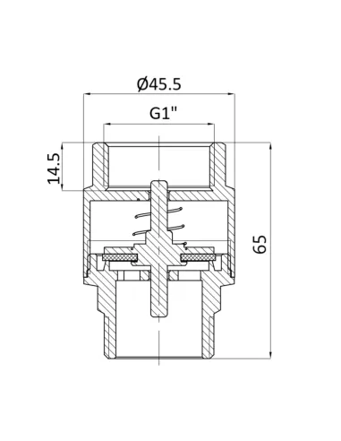 Зворотний клапан Thermo Alliance Standart TAS248W25 1 дюйм, латунний шток