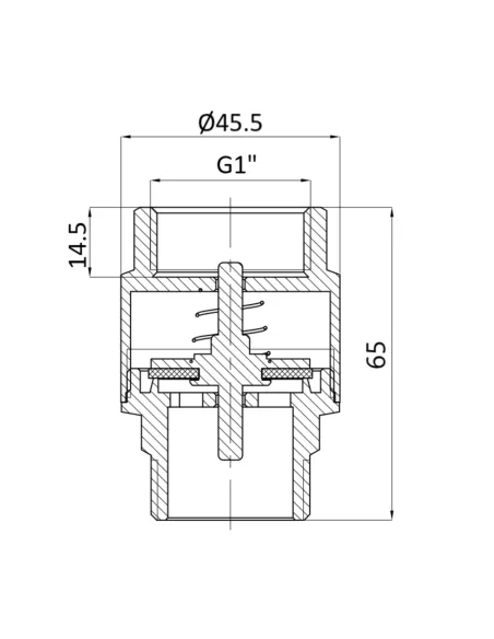 Зворотний клапан Thermo Alliance Standart TAS248W25 1 дюйм, латунний шток