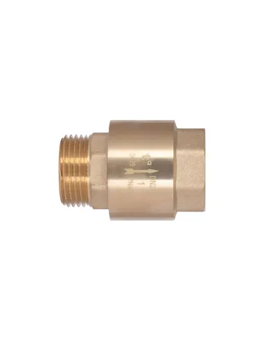 Зворотний клапан Thermo Alliance Standart TAS248W25 1 дюйм, латунний шток