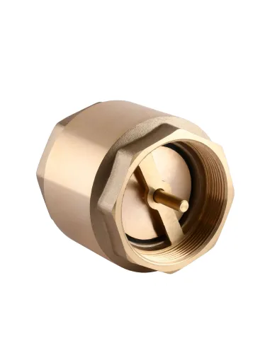 Обратный клапан Solomon С6022 0036022 2 1/2 дюйма, латунный шток