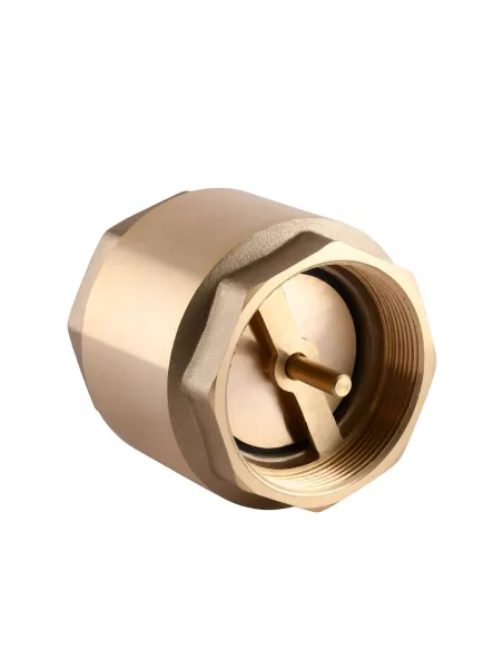 Обратный клапан Solomon С6022 0036022 2 1/2 дюйма, латунный шток