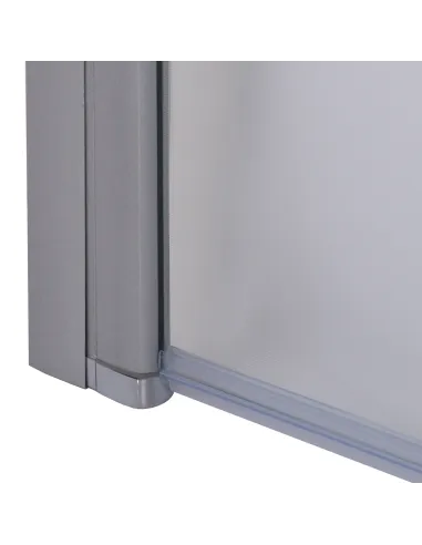 Душевая стеклянная дверь Bravo Prosna 90FS