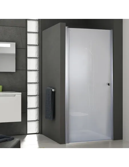 Душевая стеклянная дверь Bravo Prosna 90FS