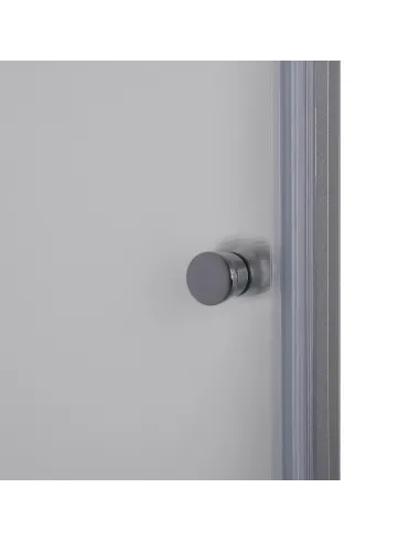 Душевая стеклянная дверь Bravo Prosna 90FS