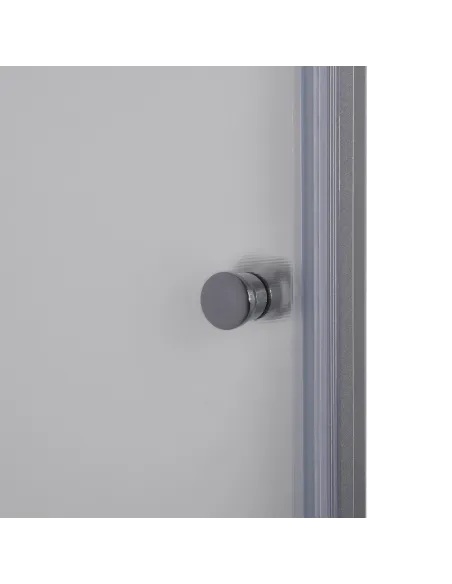 Душевая стеклянная дверь Bravo Prosna 90FS