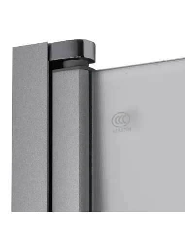 Душевая стеклянная дверь Bravo Prosna 90FS