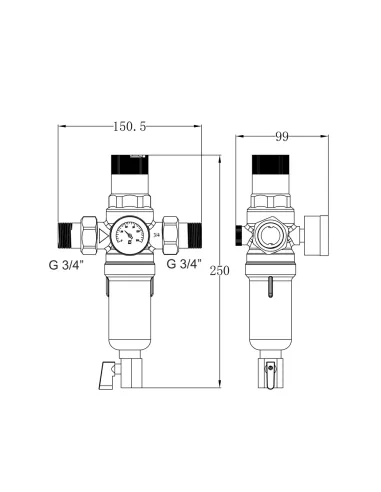 Самопромивний фільтр Thermo Alliance Forte SF128W20H 3/4 дюйма з редуктором та манометром, для гарячої води