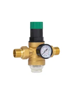 Самопромивний фільтр Thermo Alliance Forte SF128W20 3/4 дюйма з редуктором та манометром, для холодної води