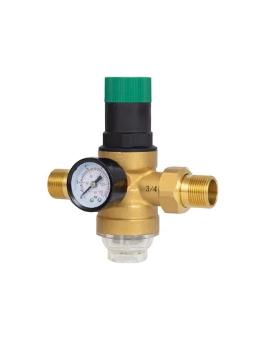 Самопромивний фільтр Thermo Alliance Forte SF128W20 3/4 дюйма з редуктором та манометром, для холодної води