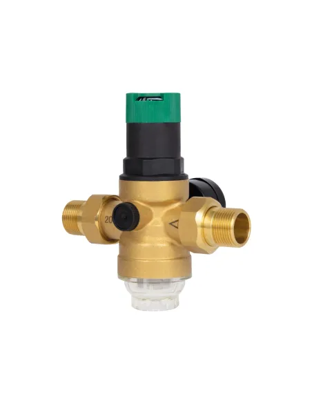 Самопромывной фильтр Thermo Alliance Forte SF128W20 3/4 дюйма с редуктором и манометром, для холодной воды