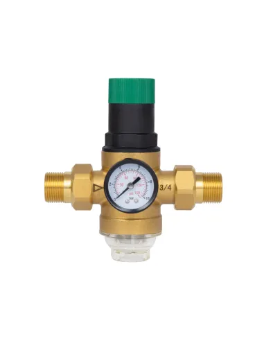 Самопромивний фільтр Thermo Alliance Forte SF128W20 3/4 дюйма з редуктором та манометром, для холодної води