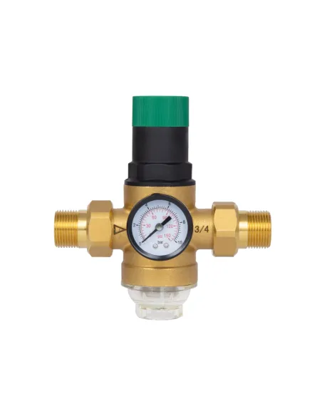 Самопромывной фильтр Thermo Alliance Forte SF128W20 3/4 дюйма с редуктором и манометром, для холодной воды