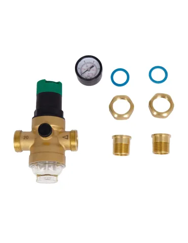 Самопромывной фильтр Thermo Alliance Forte SF128W20 3/4 дюйма с редуктором и манометром, для холодной воды